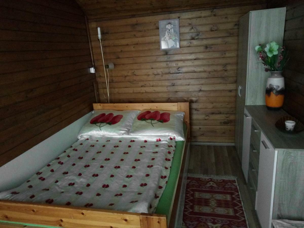 Karos Central Apartmanhaz Zalakaros Dış mekan fotoğraf